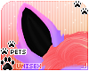 [Pets] Phir | ears v3