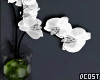 Minimal Orchid Vase