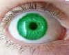 KM Eyes Green