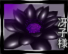 +Ss+ Black Shizuka Lotus