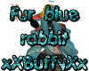 Fur blue rabbit