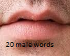Awesome male Voice 20