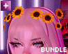 Moanah Bundle v2