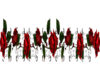 rose vertical