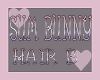 Sum Bunny Hair B