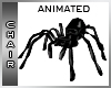 Black Shiny Spider