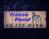 frozen pond