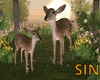 SIN Deer