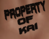 Property Of Kai
