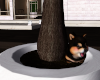 :: PUPPY ::