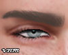 Browm EyeBrows