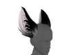 Midnite Fox Ears