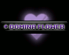 Domina Flower (VIP)