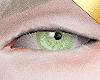 ✶Pain Green Eyes