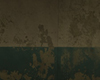 Z Asylum Wall