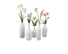 Bottled Flowers - White.