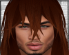 KH*Aizawa brown