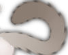 NNN.Siamese Cat Tail