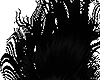 BLACK ANIMADO  QUE SUSTO