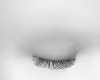 1.2