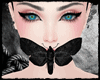 [SS] Black Witch Moth