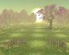 Spring Glade-2 NK