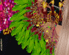 BAILE VOGUE WINGS