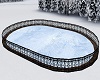 Ice Skating Rink