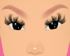 Lash 3 Top Only