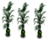 Green Plant 1