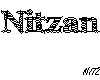 -Tn- Necklace Nitzan