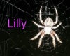JL- Spider round lounge