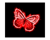 Colored Butterfly 01