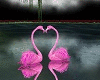 Pink Flamings