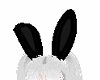 Bun! Black Bunny Ears