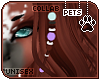 [Pets]Makybe |hair candy