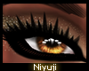 Niyu || Gold Rush