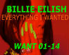 BILLIE EILISH-EVERYTHING