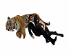 tiger couple cuddle 1