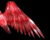 deep red wings