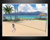 s. Beach Volleyball