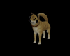 sweet Dog Animated