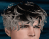 Smoky Hair Rolled