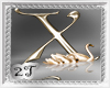 ~2T~ X  Letter Gold Swan