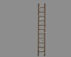 LWR}Elegant Ladder