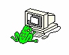 Computer Frog