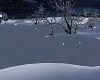GIANT frozen lake 2 (NP)