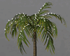 Light Palm