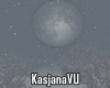 Winter Soft Forest 2025