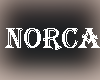 Norca Ears V5